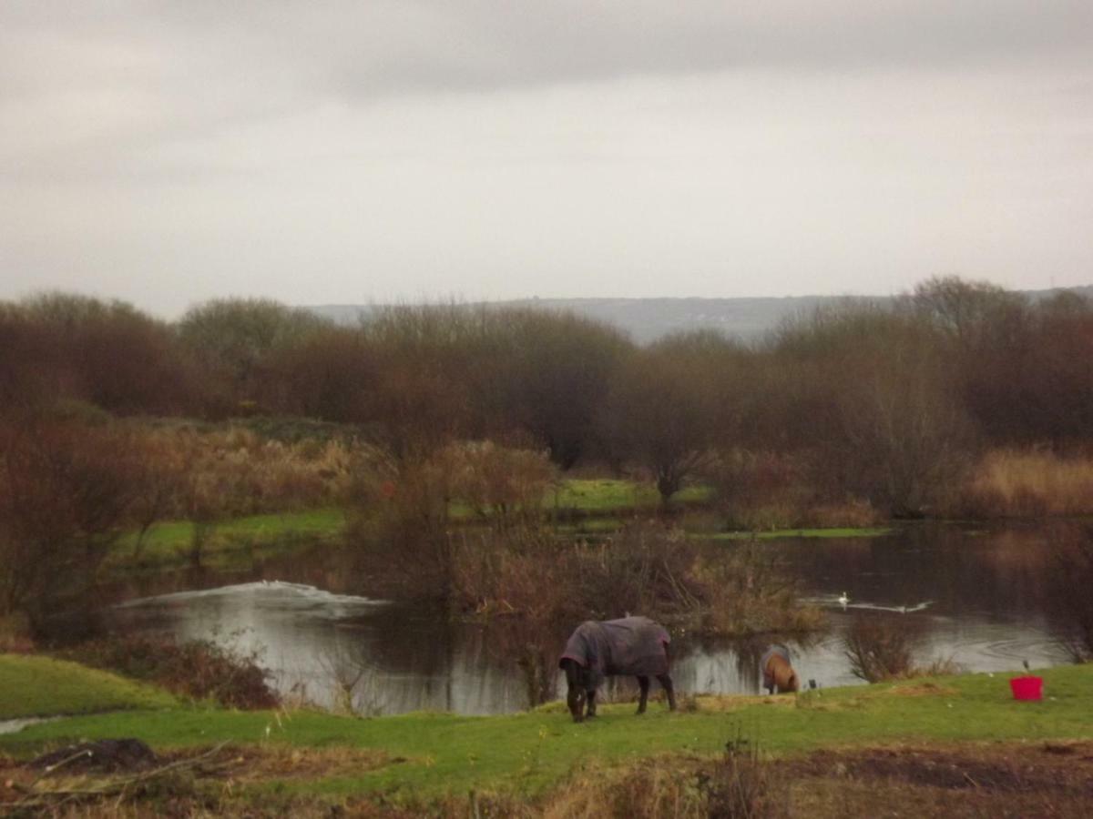 Marsh Water Ponds Fishery Villa Kidwelly Exterior foto
