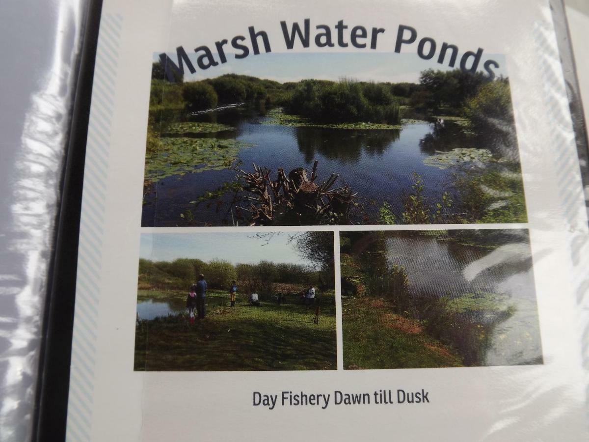 Marsh Water Ponds Fishery Villa Kidwelly Exterior foto